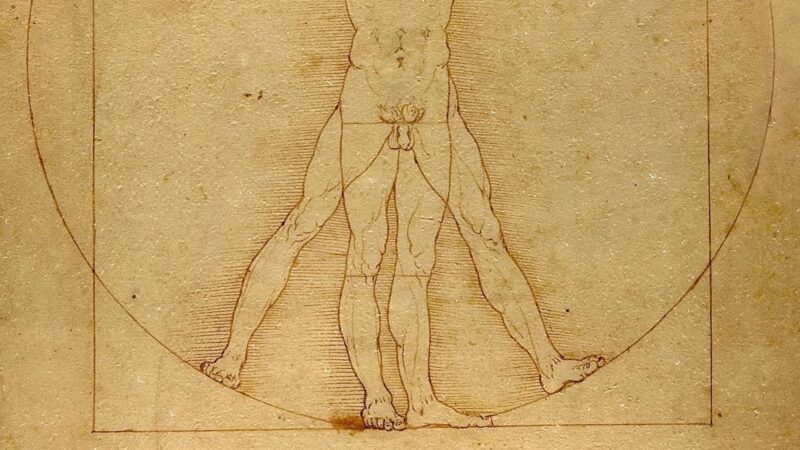 drawing da vinci